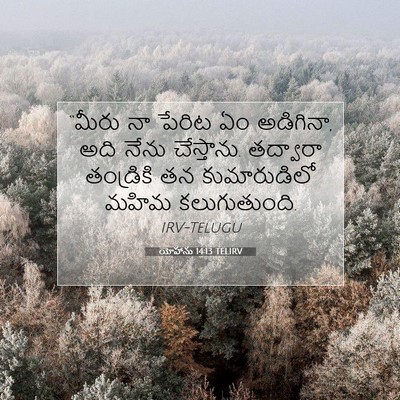 Picture 07 - యోహాను 14:13 TELIRV - “మీరు నా పేరిట ఏం - Bible Verse Picture