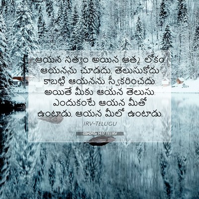 Picture 07 - యోహాను 14:17 TELIRV - ఆయన సత్యం అయిన - Bible Verse Picture