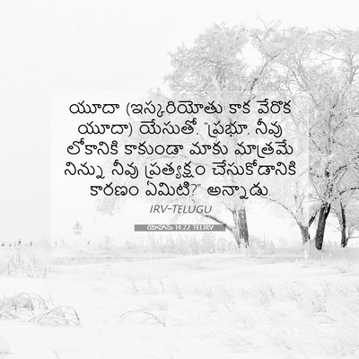 Picture 07 - యోహాను 14:22 TELIRV - యూదా (ఇస్కరియోతు - Bible Verse Picture