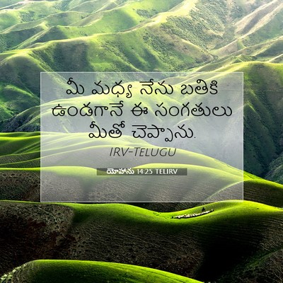 Picture 07 - యోహాను 14:25 TELIRV - మీ మధ్య నేను బతికి - Bible Verse Picture