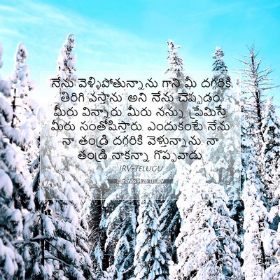 Picture 07 - యోహాను 14:28 TELIRV - ‘నేను - Bible Verse Picture