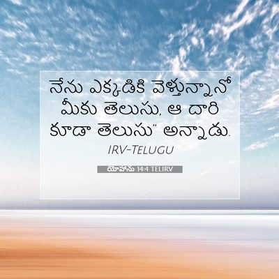 Picture 07 - యోహాను 14:4 TELIRV - నేను ఎక్కడికి - Bible Verse Picture