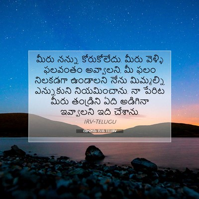 Picture 07 - యోహాను 15:16 TELIRV - మీరు నన్ను - Bible Verse Picture