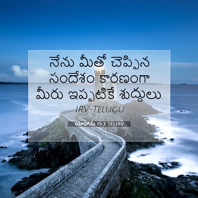 Picture 07 - యోహాను 15:3 TELIRV - నేను మీతో చెప్పిన - Bible Verse Picture