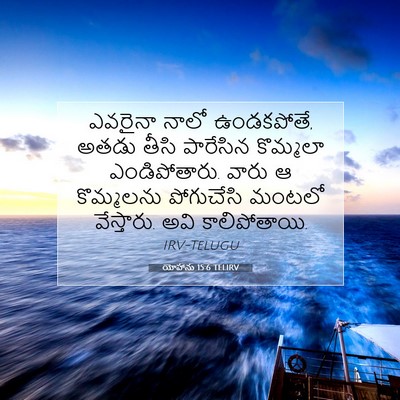 Picture 07 - యోహాను 15:6 TELIRV - ఎవరైనా నాలో - Bible Verse Picture