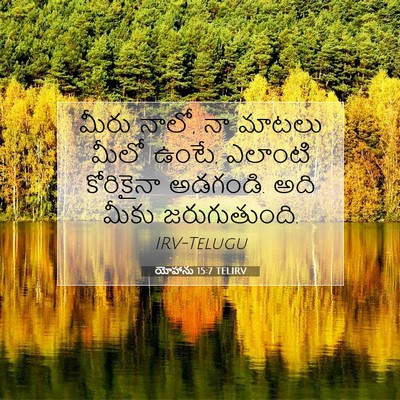 Picture 07 - యోహాను 15:7 TELIRV - మీరు నాలో, నా మాటలు - Bible Verse Picture