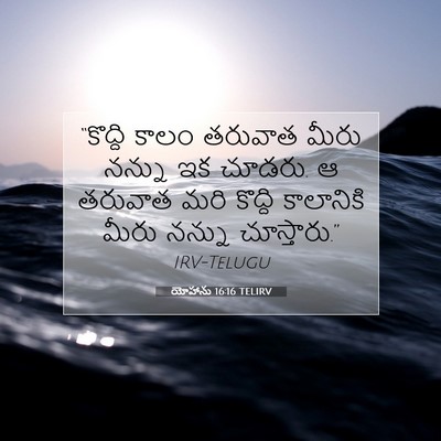 Picture 07 - యోహాను 16:16 TELIRV - “కొద్ది కాలం - Bible Verse Picture