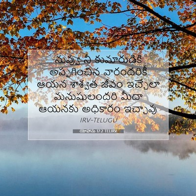 Picture 07 - యోహాను 17:2 TELIRV - నువ్వు నీ - Bible Verse Picture