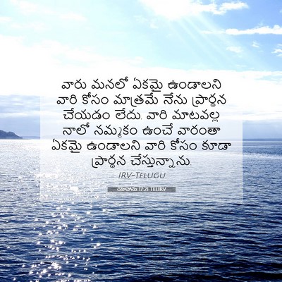 Picture 07 - యోహాను 17:21 TELIRV - వారు మనలో ఏకమై - Bible Verse Picture