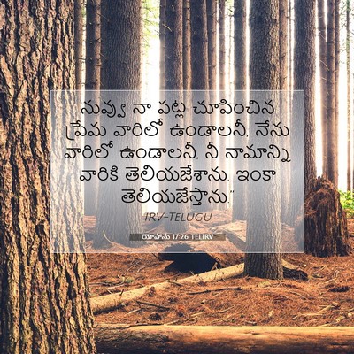 Picture 07 - యోహాను 17:26 TELIRV - నువ్వు నా పట్ల - Bible Verse Picture