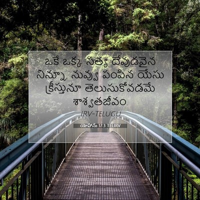 Picture 07 - యోహాను 17:3 TELIRV - ఒకే ఒక్క సత్య - Bible Verse Picture