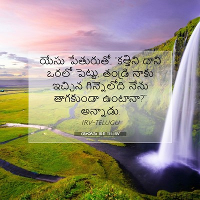 Picture 07 - యోహాను 18:11 TELIRV - యేసు పేతురుతో, - Bible Verse Picture