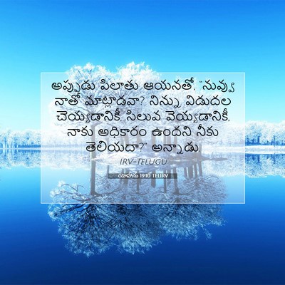 Picture 07 - యోహాను 19:10 TELIRV - అప్పుడు పిలాతు - Bible Verse Picture