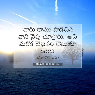 Picture 07 - యోహాను 19:37 TELIRV - “వారు తాము - Bible Verse Picture