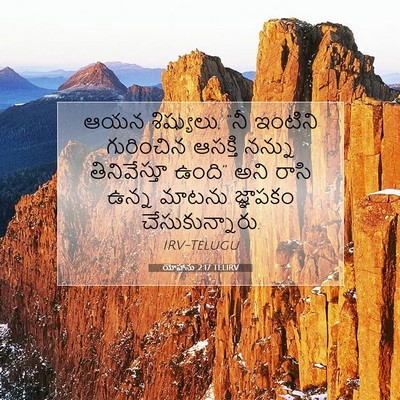 Picture 07 - యోహాను 2:17 TELIRV - ఆయన శిష్యులు, “నీ - Bible Verse Picture