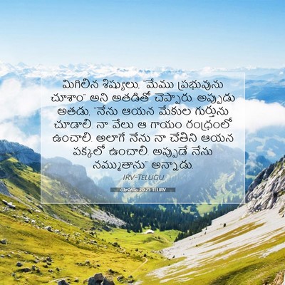 Picture 07 - యోహాను 20:25 TELIRV - మిగిలిన శిష్యులు, - Bible Verse Picture