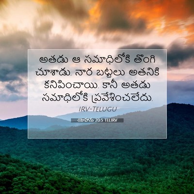 Picture 07 - యోహాను 20:5 TELIRV - అతడు ఆ సమాధిలోకి - Bible Verse Picture