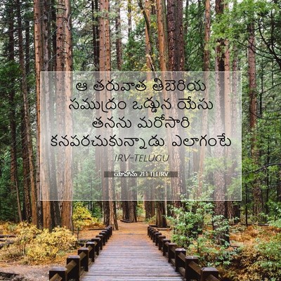 Picture 07 - యోహాను 21:1 TELIRV - ఆ తరువాత తిబెరియ - Bible Verse Picture