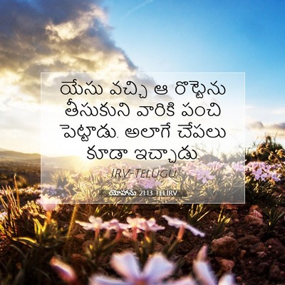 Picture 07 - యోహాను 21:13 TELIRV - యేసు వచ్చి ఆ - Bible Verse Picture