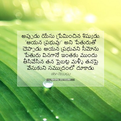 Picture 07 - యోహాను 21:7 TELIRV - అప్పుడు యేసు - Bible Verse Picture