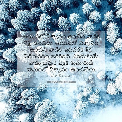Picture 07 - యోహాను 3:18 TELIRV - ఆయనలో విశ్వాసం - Bible Verse Picture