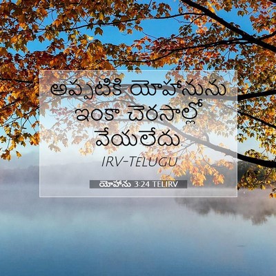 Picture 07 - యోహాను 3:24 TELIRV - అప్పటికి యోహానును - Bible Verse Picture