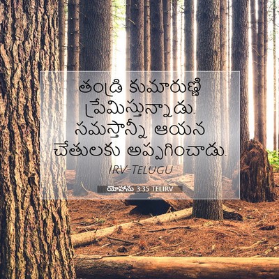 Picture 07 - యోహాను 3:35 TELIRV - తండ్రి కుమారుణ్ణి - Bible Verse Picture