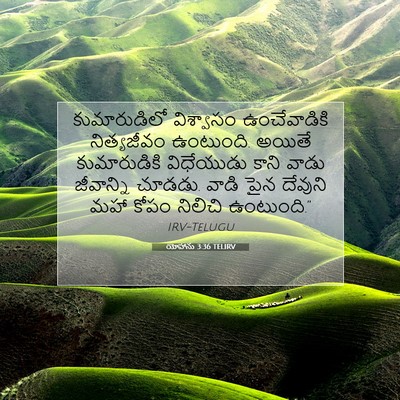Picture 07 - యోహాను 3:36 TELIRV - కుమారుడిలో - Bible Verse Picture
