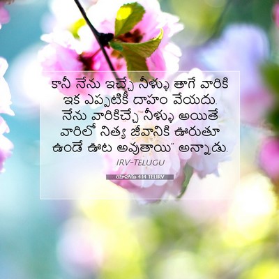 Picture 07 - యోహాను 4:14 TELIRV - కానీ నేను ఇచ్చే - Bible Verse Picture