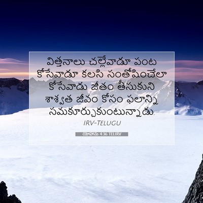 Picture 07 - యోహాను 4:36 TELIRV - విత్తనాలు - Bible Verse Picture