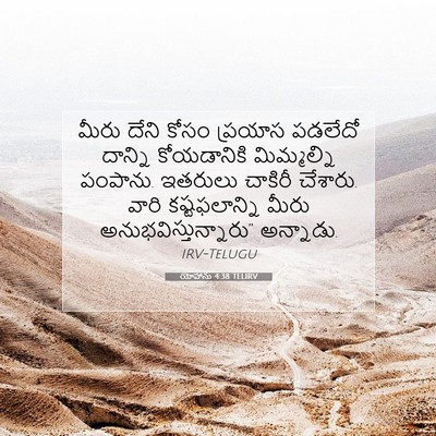 Picture 07 - యోహాను 4:38 TELIRV - మీరు దేని కోసం - Bible Verse Picture