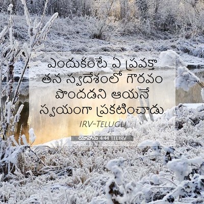 Picture 07 - యోహాను 4:44 TELIRV - ఎందుకంటే ఏ - Bible Verse Picture