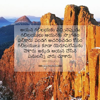 Picture 07 - యోహాను 4:45 TELIRV - ఆయన గలిలయకు - Bible Verse Picture