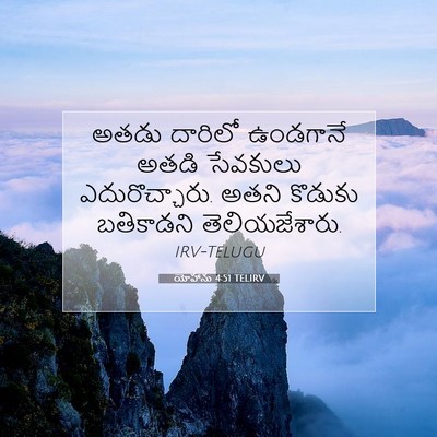 Picture 07 - యోహాను 4:51 TELIRV - అతడు దారిలో - Bible Verse Picture
