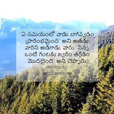 Picture 07 - యోహాను 4:52 TELIRV - “ఏ సమయంలో వాడు - Bible Verse Picture