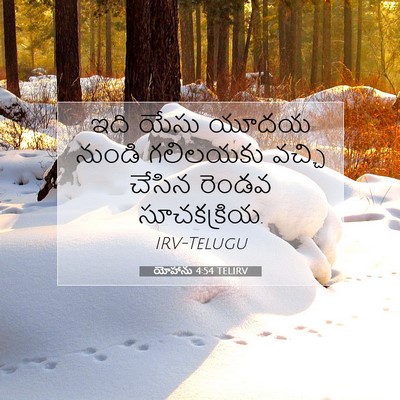 Picture 07 - యోహాను 4:54 TELIRV - ఇది యేసు యూదయ - Bible Verse Picture