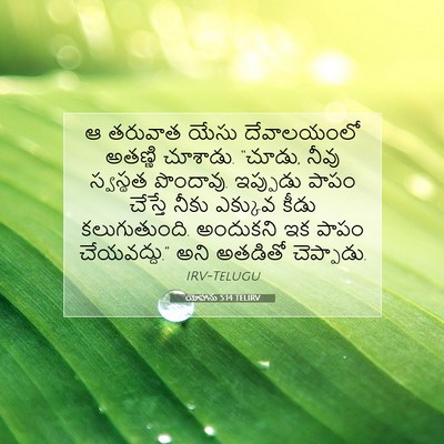 Picture 07 - యోహాను 5:14 TELIRV - ఆ తరువాత యేసు - Bible Verse Picture