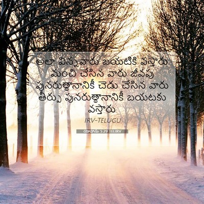 Picture 07 - యోహాను 5:29 TELIRV - అలా విన్నవారు - Bible Verse Picture