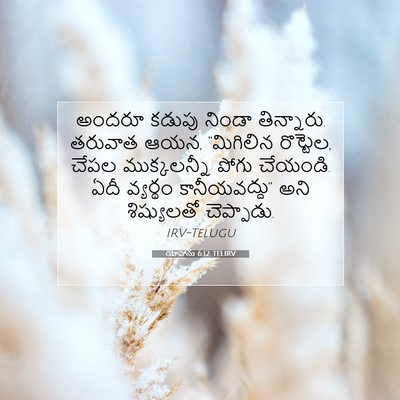 Picture 07 - యోహాను 6:12 TELIRV - అందరూ కడుపు నిండా - Bible Verse Picture