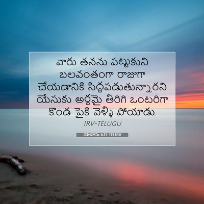 Picture 07 - యోహాను 6:15 TELIRV - వారు తనను - Bible Verse Picture