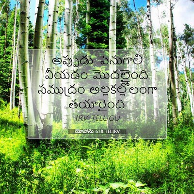 Picture 07 - యోహాను 6:18 TELIRV - అప్పుడు పెనుగాలి - Bible Verse Picture