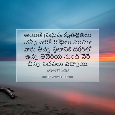 Picture 07 - యోహాను 6:23 TELIRV - అయితే ప్రభువు - Bible Verse Picture