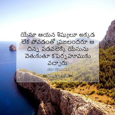 Picture 07 - యోహాను 6:24 TELIRV - యేసూ ఆయన శిష్యులూ - Bible Verse Picture