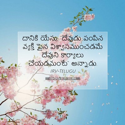 Picture 07 - యోహాను 6:29 TELIRV - దానికి యేసు, - Bible Verse Picture
