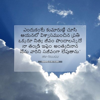 Picture 07 - యోహాను 6:40 TELIRV - ఎందుకంటే - Bible Verse Picture