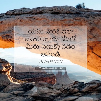Picture 07 - యోహాను 6:43 TELIRV - యేసు వారికి ఇలా - Bible Verse Picture