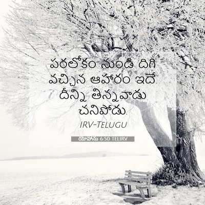 Picture 07 - యోహాను 6:50 TELIRV - పరలోకం నుండి దిగి - Bible Verse Picture