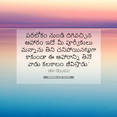 Picture 07 - యోహాను 6:58 TELIRV - పరలోకం నుండి - Bible Verse Picture