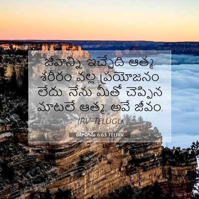 Picture 07 - యోహాను 6:63 TELIRV - జీవాన్ని ఇచ్చేది - Bible Verse Picture