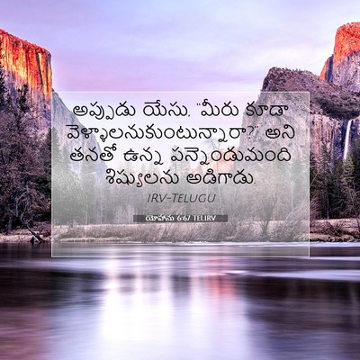 Picture 07 - యోహాను 6:67 TELIRV - అప్పుడు యేసు, - Bible Verse Picture